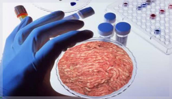 Cargill investe em startup que faz carne em laboratório