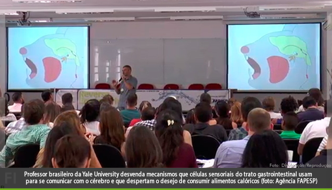Como o sistema nervoso controla o comportamento alimentar