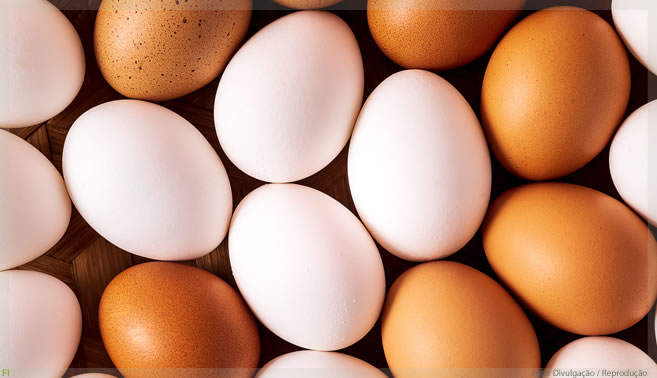 Biofilme pode dobrar prazo de validade do ovo