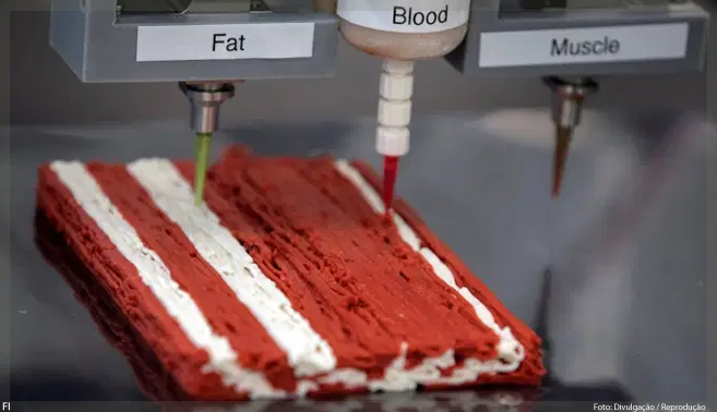 A empresa que planeja lançar impressoras 3D para produzir bifes de plantas