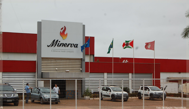 Minerva cria área de inovação de olho em e-commerce e startups