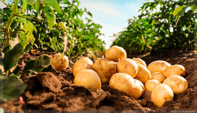 Indústria de alimentos aposta em ingredientes com selos sustentáveis