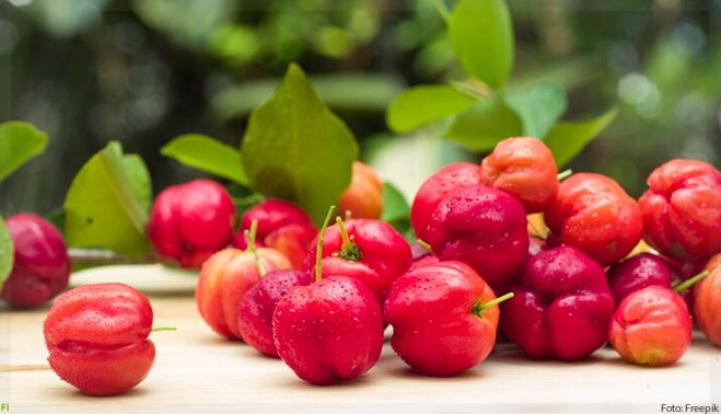 Antioxidante de acerola pode substituir aditivo sintético banido em vários países