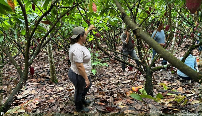 Lacta lança curso de empreendedorismo voltado para mulheres da comunidade cacaueira